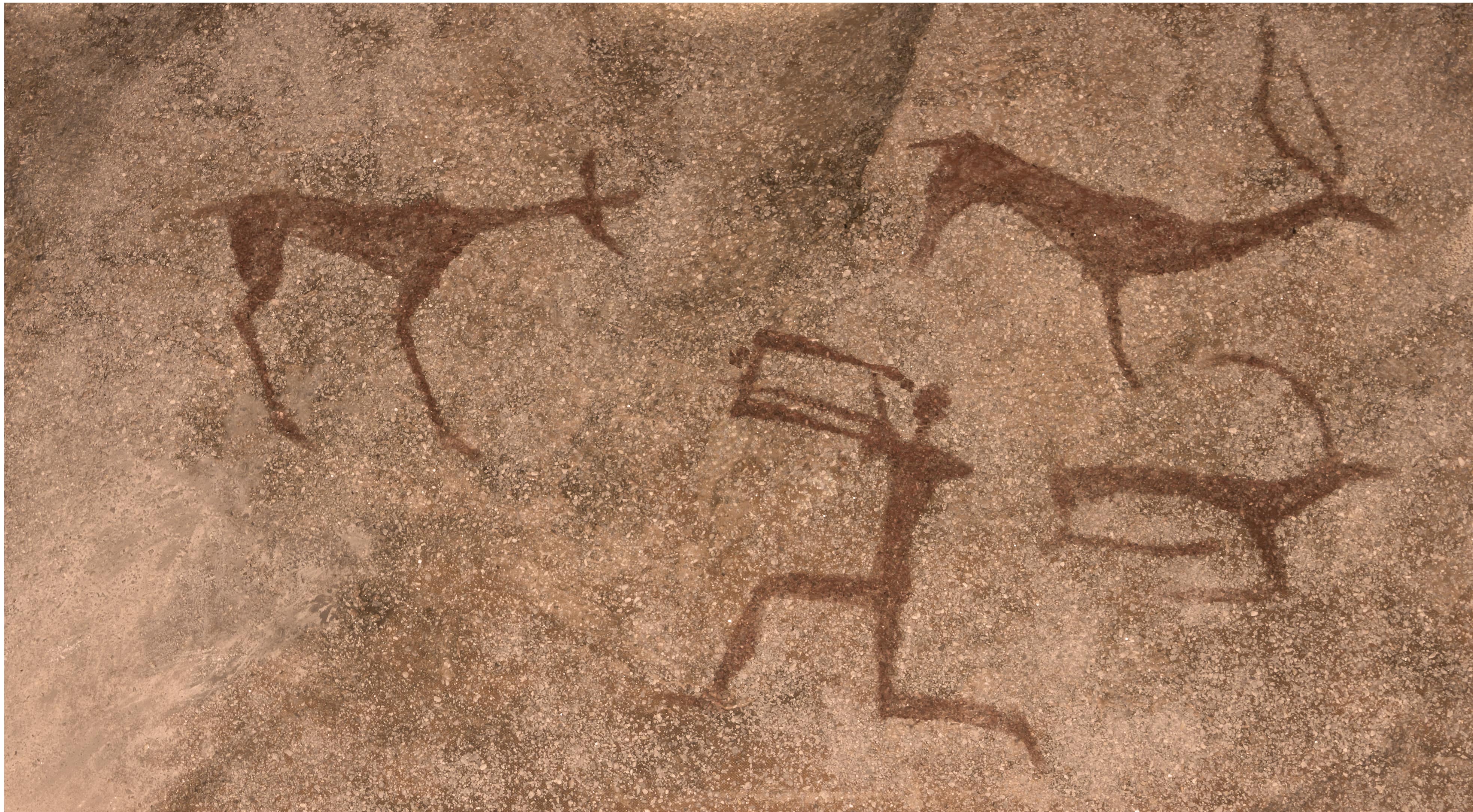 Cave art from Prvotravanjska Budala (detail): 